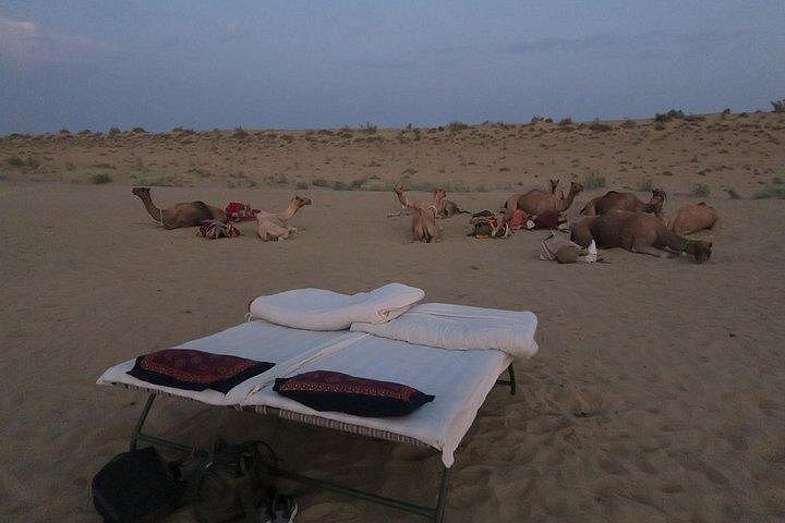 One Night One Day Desert Safari Tour