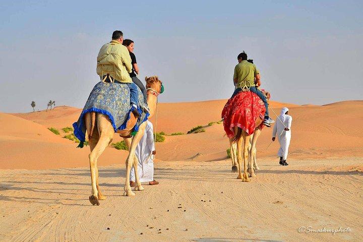 Safari mattutino premium nel deserto in veicolo privato 4x4 fino a 6 persone