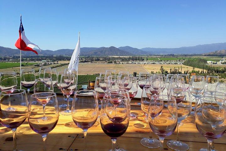 Visite privée de dégustation de vins dans les vignobles de la vallée de Casablanca