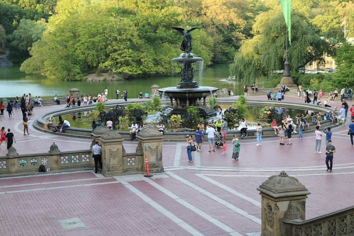Central Park VIP Tour (All park tour up to 2 hour with unlimited stops) pedicab