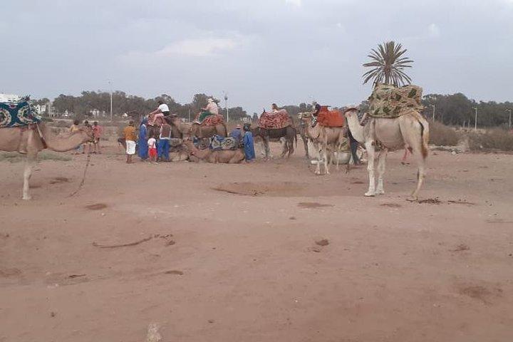 Agadir Sunset Camel Ride med läcker couscous och grill