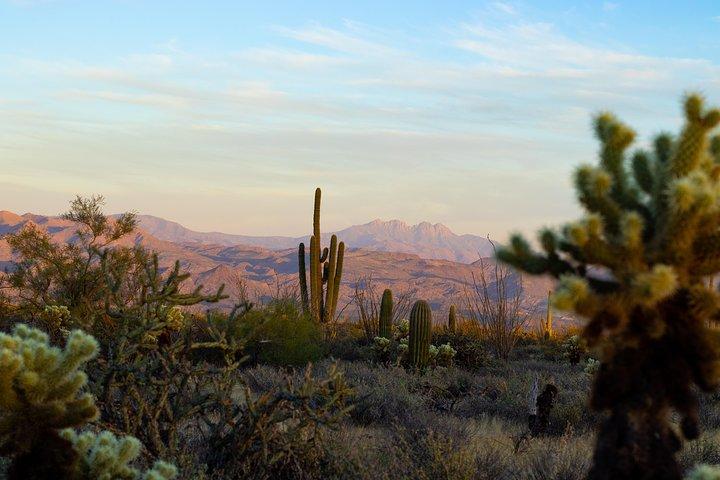 Excursión en jeep por el desierto de Sonora al atardecer