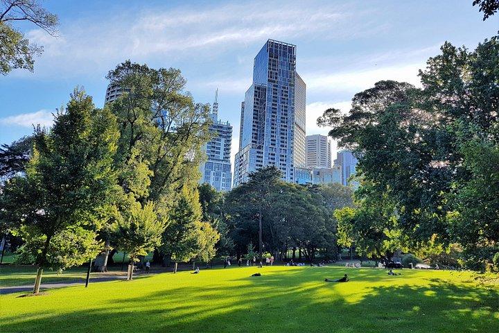Melbourne Afternoon Sights & Sounds Private Experience