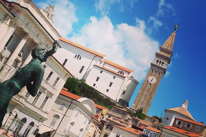 Experimente la costa eslovena con cata de vinos desde Trieste