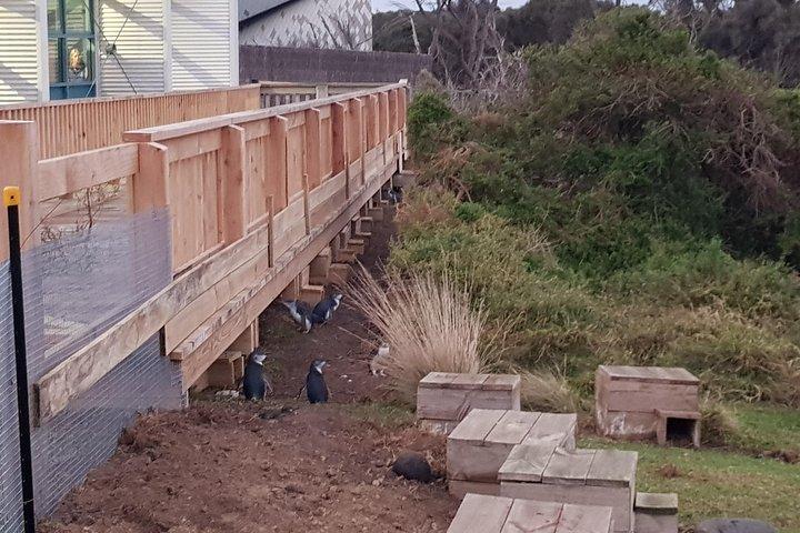 Expérience privée de Phillip Island