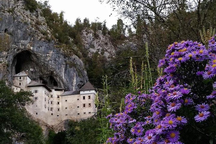 Grottes de Postojna et château de Predjama. Voyage privé.
