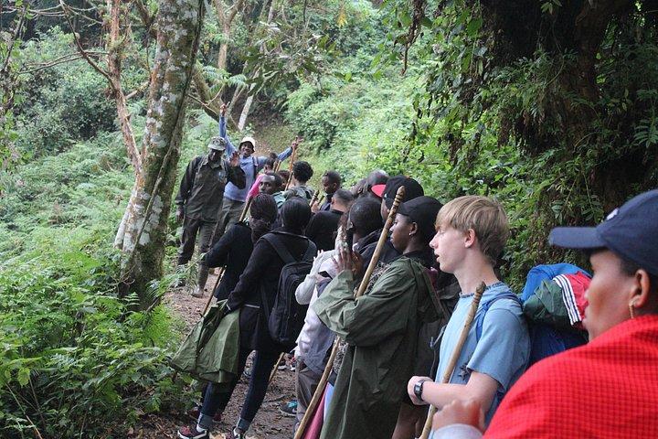 ニュングウェ国立公園の 1 日キャノピー ウォーク ウェイ