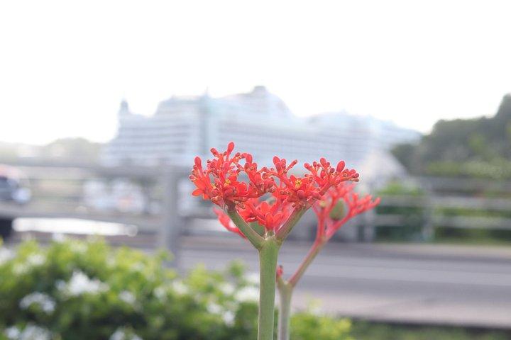 空港送迎-ヘワノラ国際空港（UFV）片道