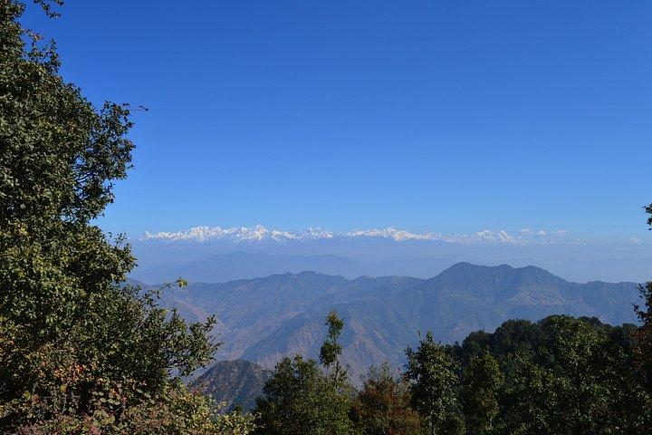 Top Tibba Day Hike and Dhanaulti Visit