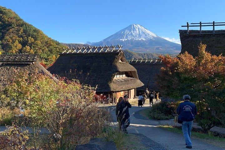 富士山と箱根へのプライベートツアー（完全免許オペレーター）