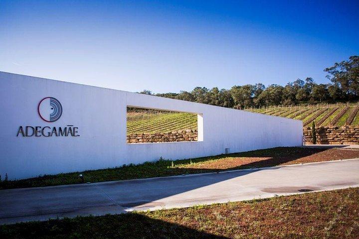 Queluz / Mafra / Ericeira / Adega Mãe Private Tour