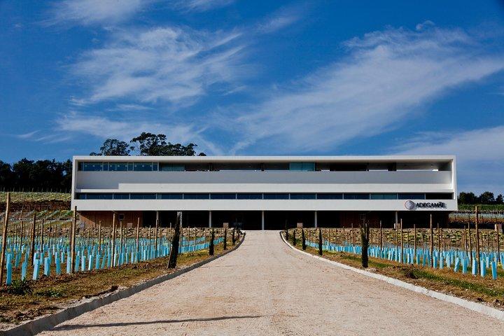 Queluz / Mafra / Ericeira / Adega Mãe Private Tour
