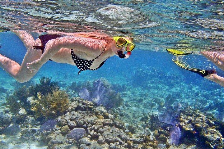 ピピ4島カイ島、グリーン島、ナイ島スピードボートで