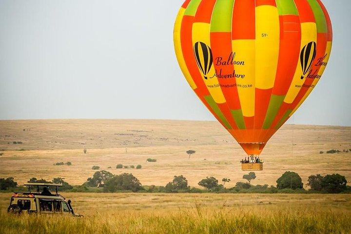 Tour di 3 giorni del Masai Mara