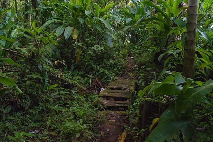 Half Day Grenada Sunshine Highlights Tour