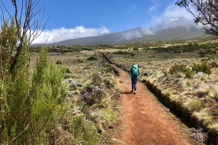 Kilimanjaro: Lemosho-ruten