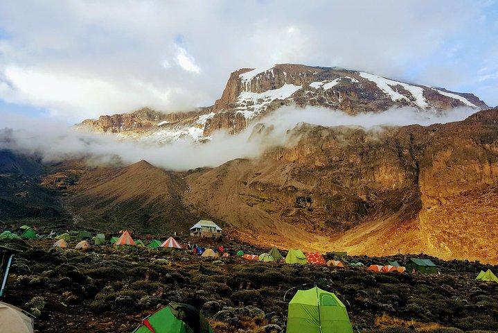 Kilimanjaro: Lemosho-ruten