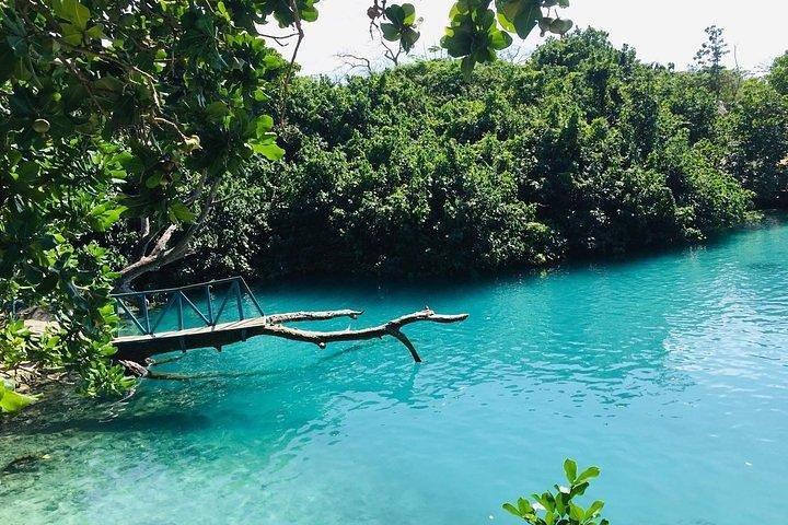 Ganztagestour nach Port Vila - Erleben Sie das echte Vanuatu