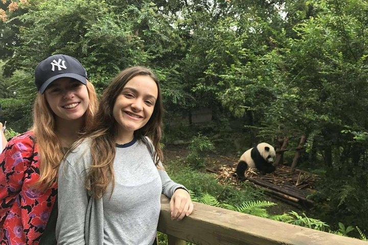 Chengdu Entdeckung: Panda Base und Giant Buddha Day Trip