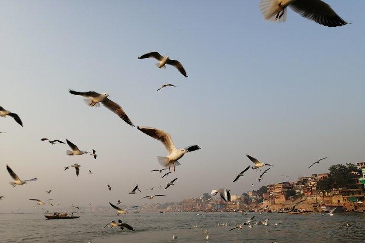 Betydelse av Varanasi Tour