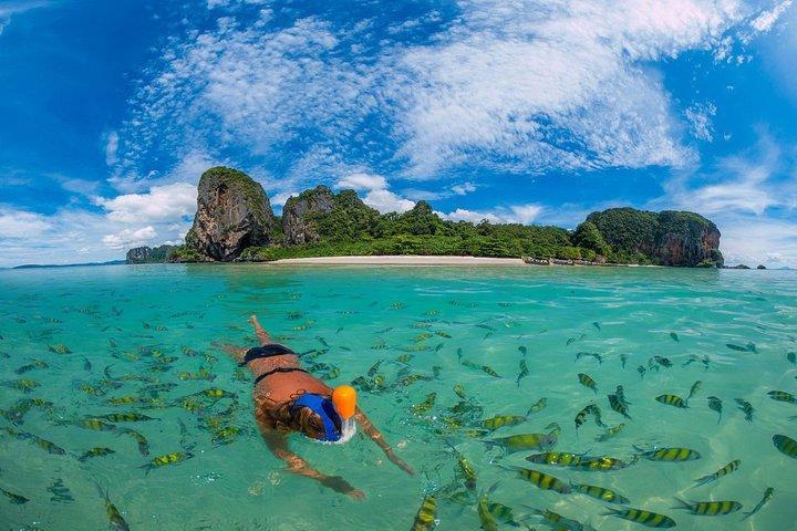 Phi Phi Maya Bamboo Tour med hurtigbåd