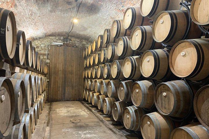 Vinoplevelse i Chianti Hills fra Firenze