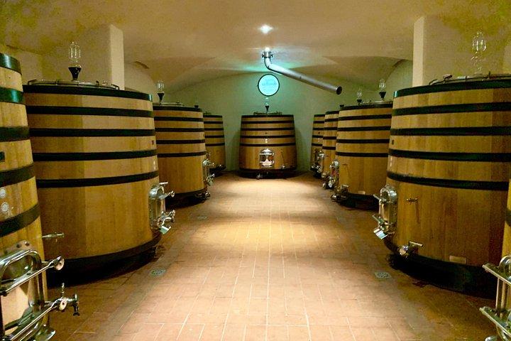 Vinoplevelse i Chianti Hills fra Firenze
