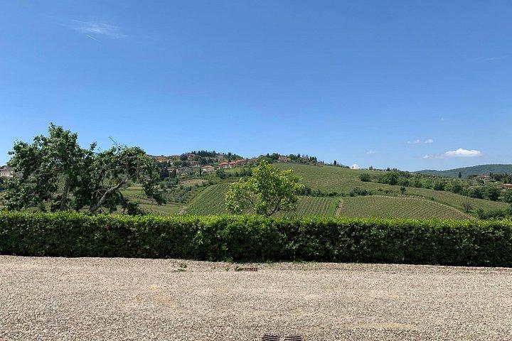 Vinoplevelse i Chianti Hills fra Firenze