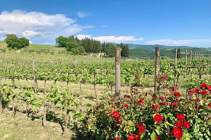 Vinoplevelse i Chianti Hills fra Firenze