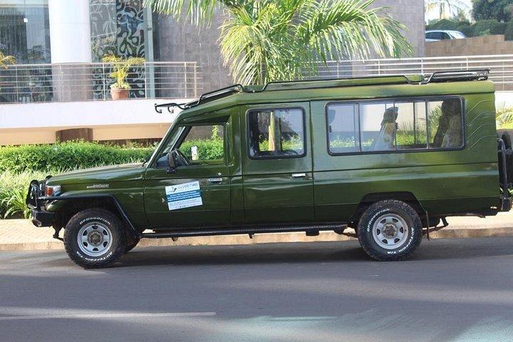 1日サファリ～アカゲラ国立公園～ビッグ5サファリ
