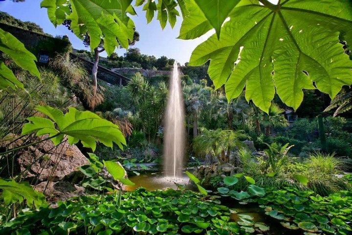 Ischia and La Mortella Gardens