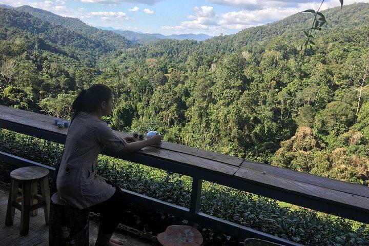 プライベート：チェンマイ-チェンライ 3日間2泊旅行＋宿泊付き。