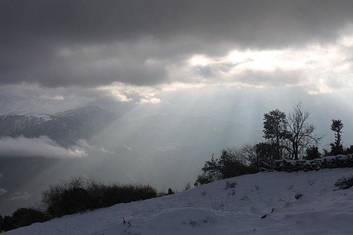 Dayara Bugyal Himalayan Trekking and Camping