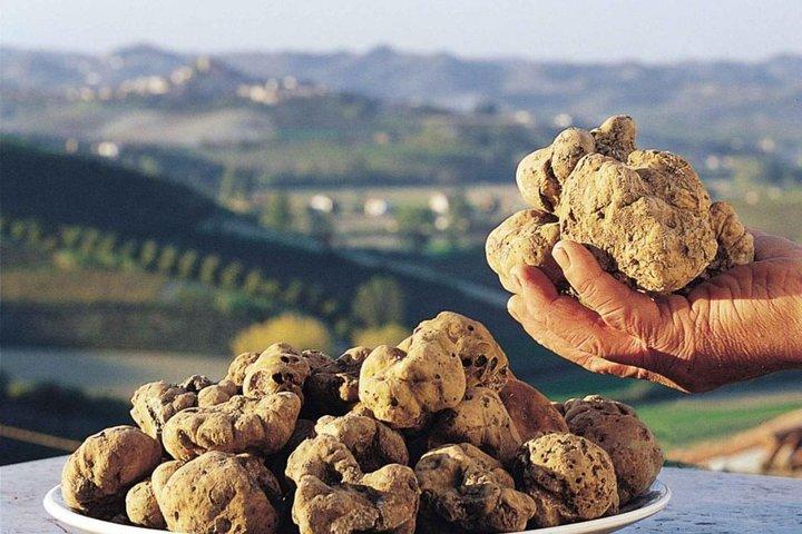 Caça privada de trufas na Toscana
