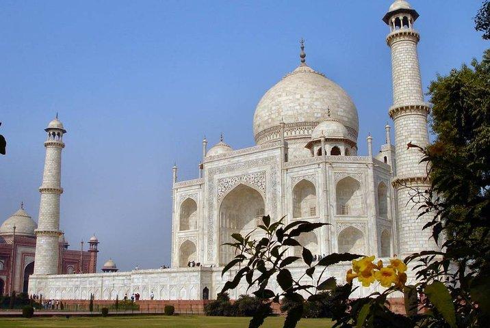 Golden Triangle Tour