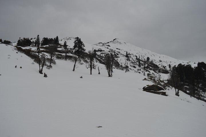 Kedarkantha Himalayan Trek and Camping