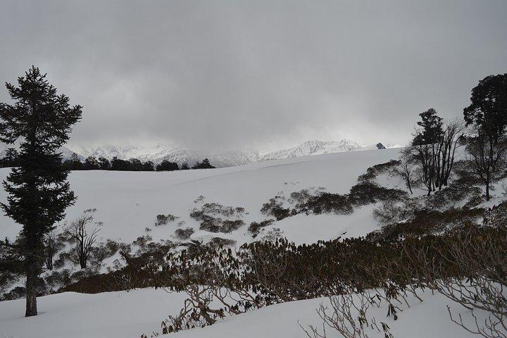 Kedarkantha Himalayan Trek and Camping