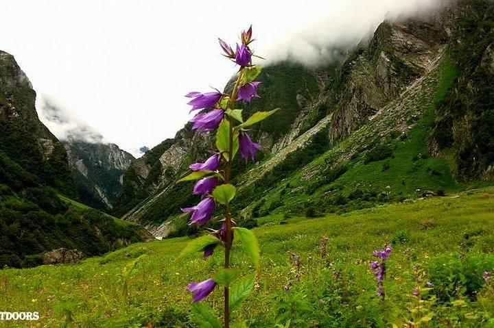 Vale das Flores e Hemkund Himalaia Trek e Camping