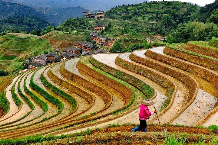 Longji-Reisterrassen-Tagestour mit den Dörfern Ping'an und Dazhai