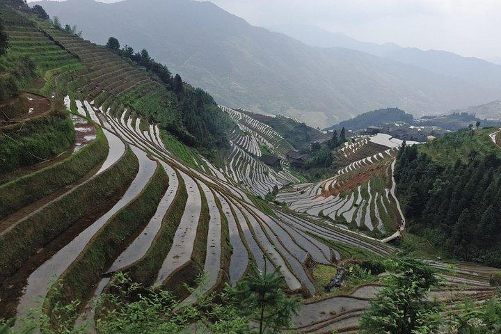 Longji Rice Terraces Day Tour with the Ping'an and Dazhai Village