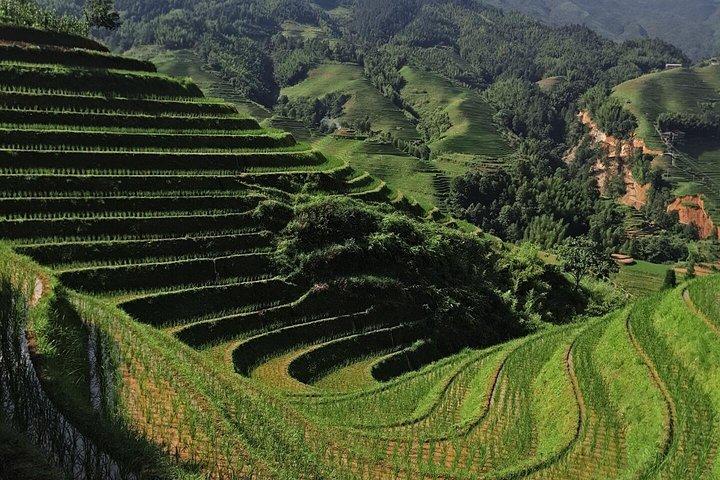 Longji Rice Terraces Day Tour with the Ping'an and Dazhai Village