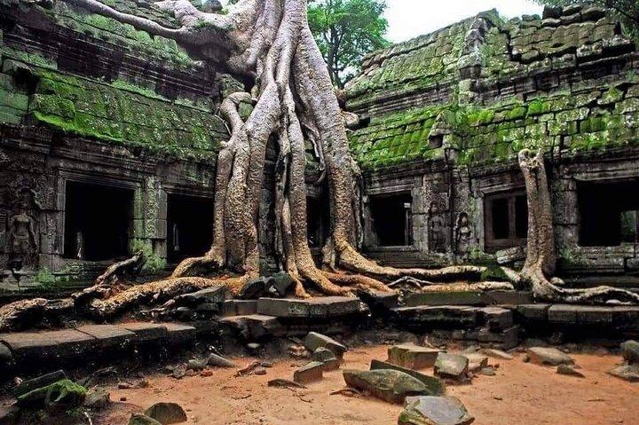 Explore Angkor Wat Sunrise Small Tour Private VIP Car