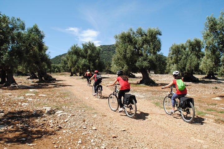 Fietstocht met olie in Monopoli