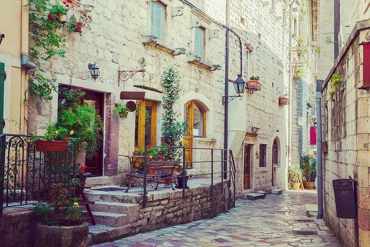 Kotor Old Town Lille Gruppen Vandretur