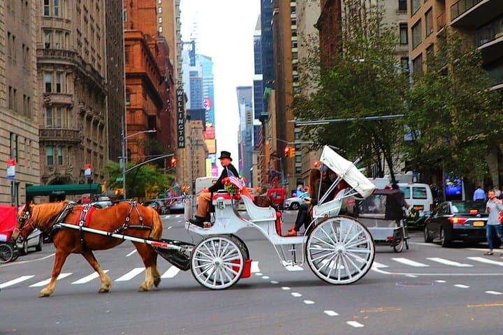 Central Park Horse Carriage Ride Short Loop (Up to 4 Adults))