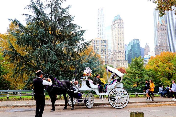 ニューヨーク市セントラル パークの馬車乗車 (大人 4 名まで)