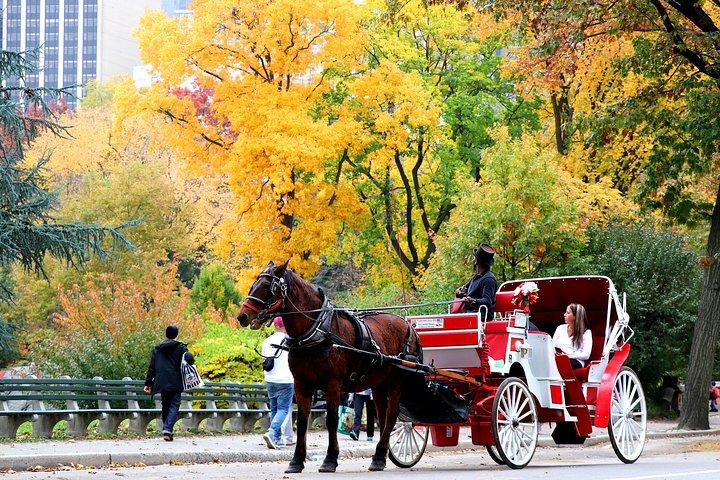 NYC Central Park hestevognstur (op til 4 voksne)