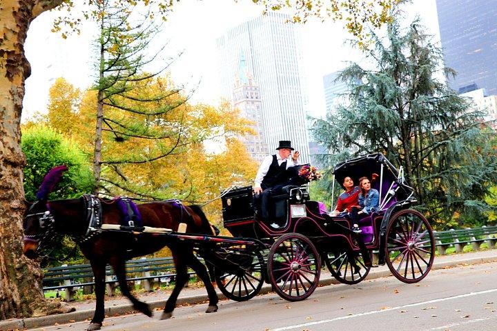 セントラル パークのニューヨーク市馬車乗車 (50 分、大人 4 名まで)