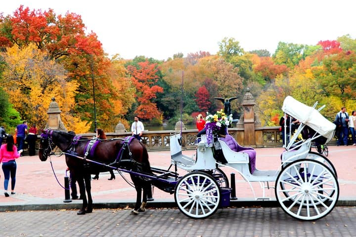 Central Park Horse Carriage Ride Short Loop (Up to 4 Adults))