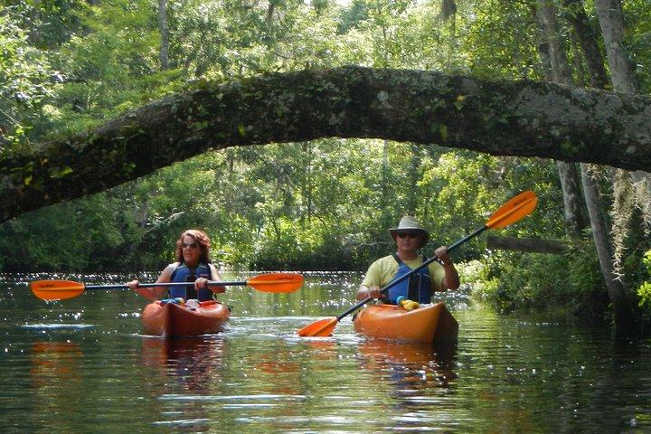 Excursion en kayak à Lofton Creek avec un guide professionnel